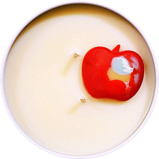 Apple cinnamon seasonal candle, fall candle